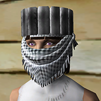 Apprentice's Cloth Helm ss.png