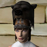 Masters leather helm ss.jpg