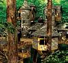 Click image for larger version. 

Name:	Concept Art Treehouse Village.jpg 
Views:	1912 
Size:	141.5 KB 
ID:	299